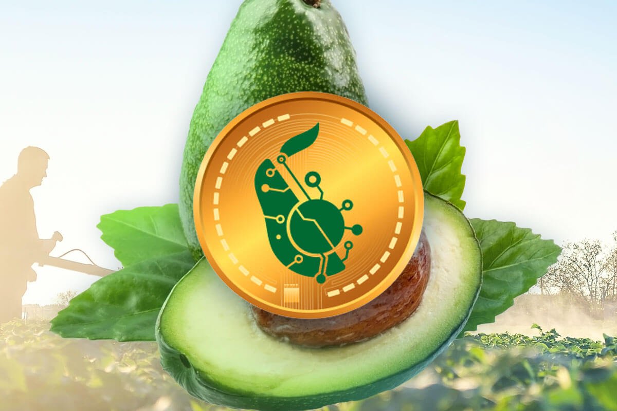 avocado-coin
